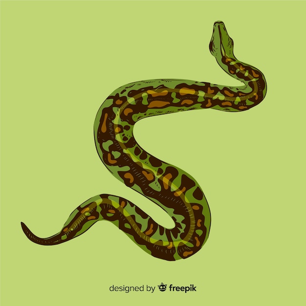 Realistic hand drawn python background