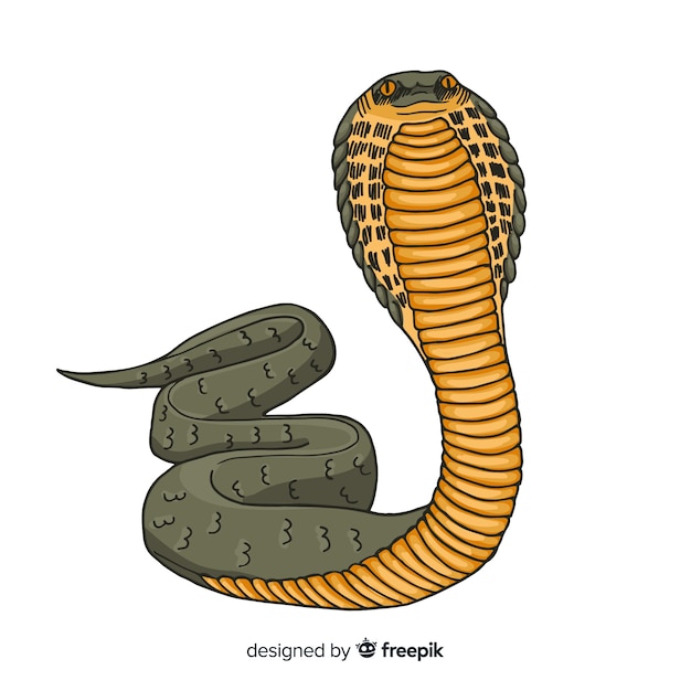 無料ベクター リアルな手描きのヘビ