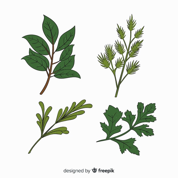 Free vector realistic hand drawn spices and herbs sketches collection