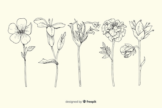 Реалистичная рисованной коллекция старинных ботаники цветов