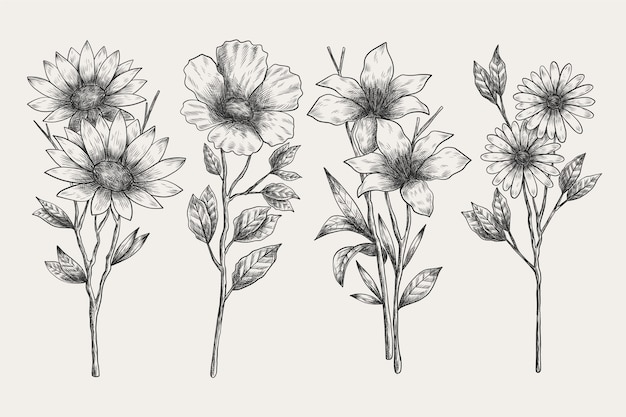 Free vector realistic hand drawn vintage botany flower collection