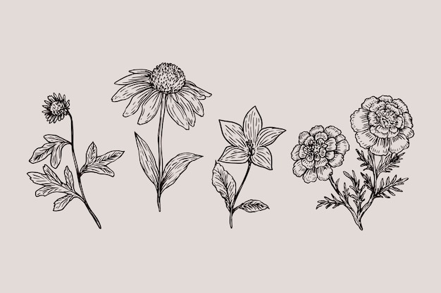 Free vector realistic hand drawn vintage botany flower collection