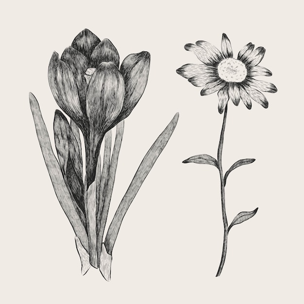 リアルな手描きのヴィンテージ植物の花コレクション