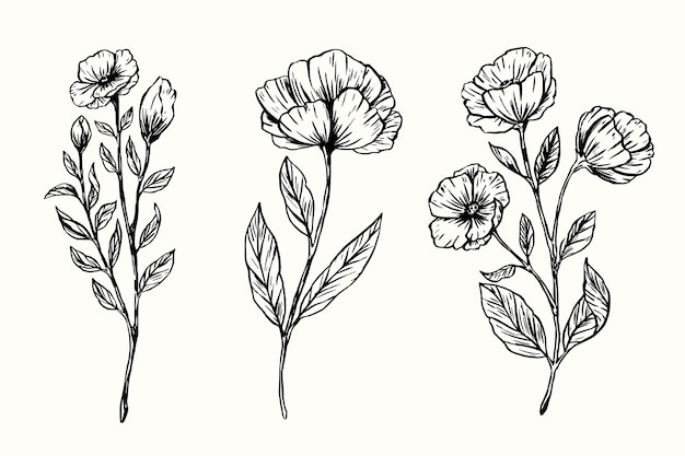 Realistic hand drawn vintage botany flower collection