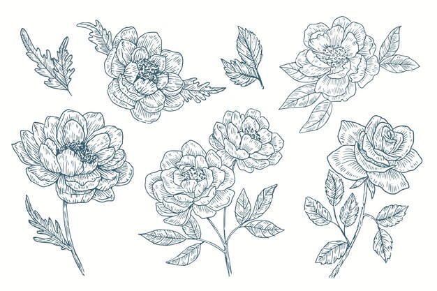 Realistic hand drawn vintage botany flower collection