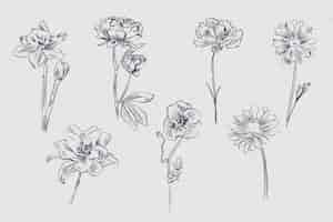 Free vector realistic hand drawn vintage botany flower collection