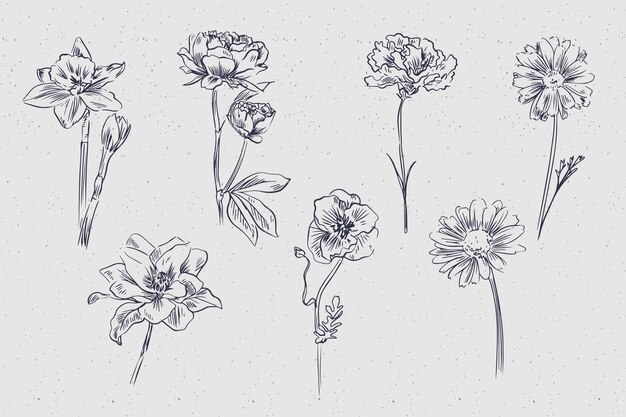 Free Vector realistic hand drawn vintage botany flower collection