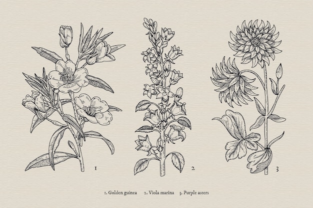 Realistic hand drawn vintage botany flower collection