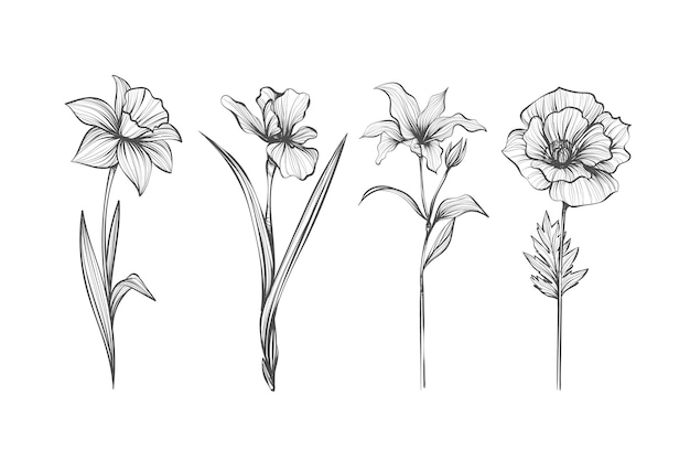 Realistic hand drawn vintage botany flower pack