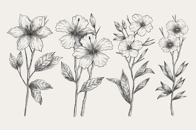 Insieme di fiori di botanica vintage disegnato a mano realistico