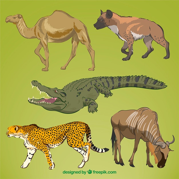 Реалистичная рисованной диких животных