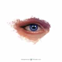 Бесплатное векторное изображение Реалистичная ручной росписью глаз