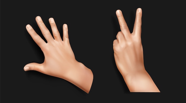 Realistic hands collection