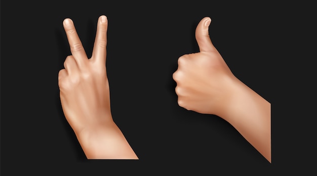 Free vector realistic hands collection