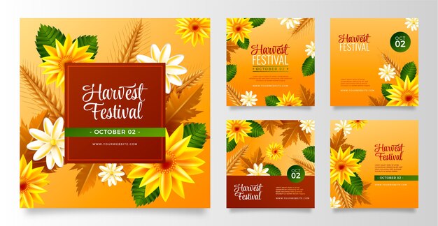 Free vector realistic harvest festival instagram posts collection