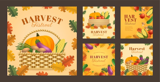 Realistic harvest festival instagram posts collection