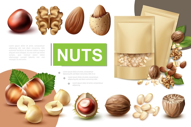 Realistic healthy nuts composition with walnut hazelnut macadamia nutmeg almond chestnut and packages of pine nuts