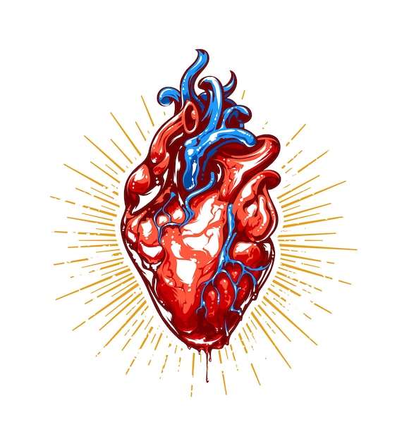 Vettore gratuito illustrazione di cuore realistico