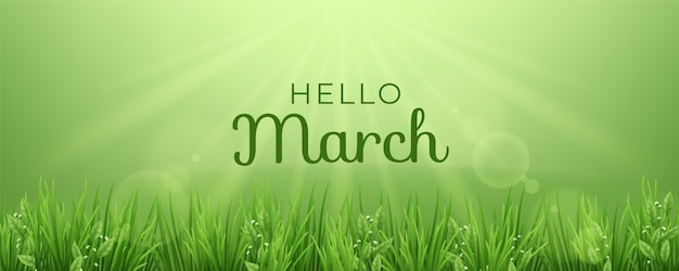 Free vector realistic hello march background and banner