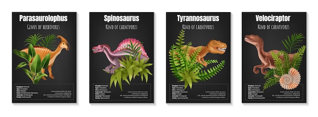 Set di poster di dinosauri erbivori e carnivori realistici con informazioni su parasaurolophus spinosaurus tirannosauro e velociraptor su sfondo nero illustrazione vettoriale isolata