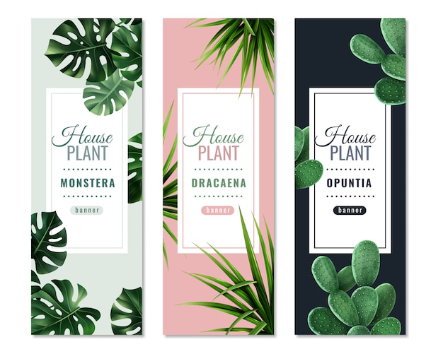 Realistic house plants vertical banners