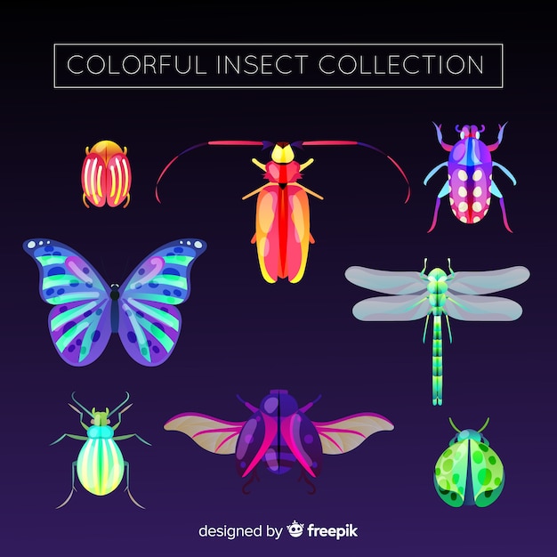 Free vector realistic insect collection