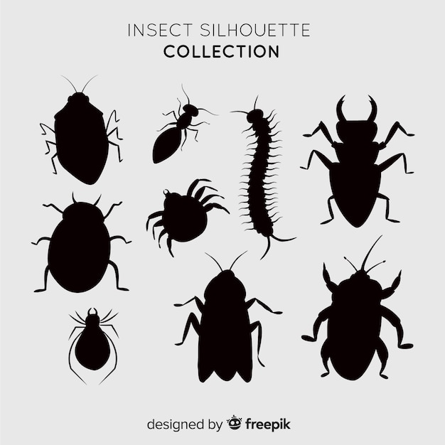 Realistic insect silhouette collection