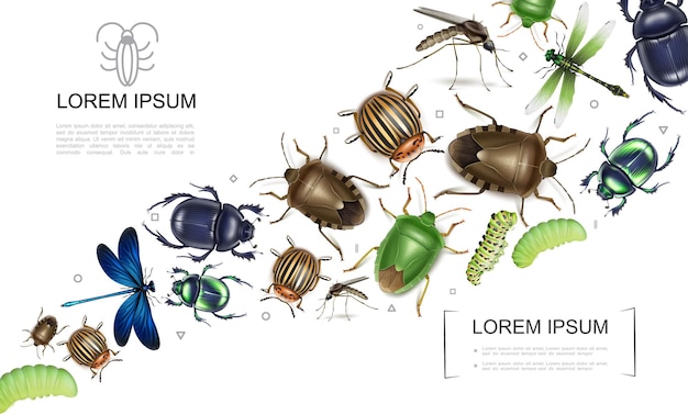Vettore gratuito collezione colorata di insetti realistici con scarabei di zanzara e insetti stercorari colorado scarabeo di patate libellule bruchi