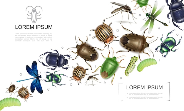 모기 풍뎅이와 배설물 버그 콜로라도 감자 딱정벌레 잠자리 애벌레와 현실적인 곤충 다채로운 컬렉션