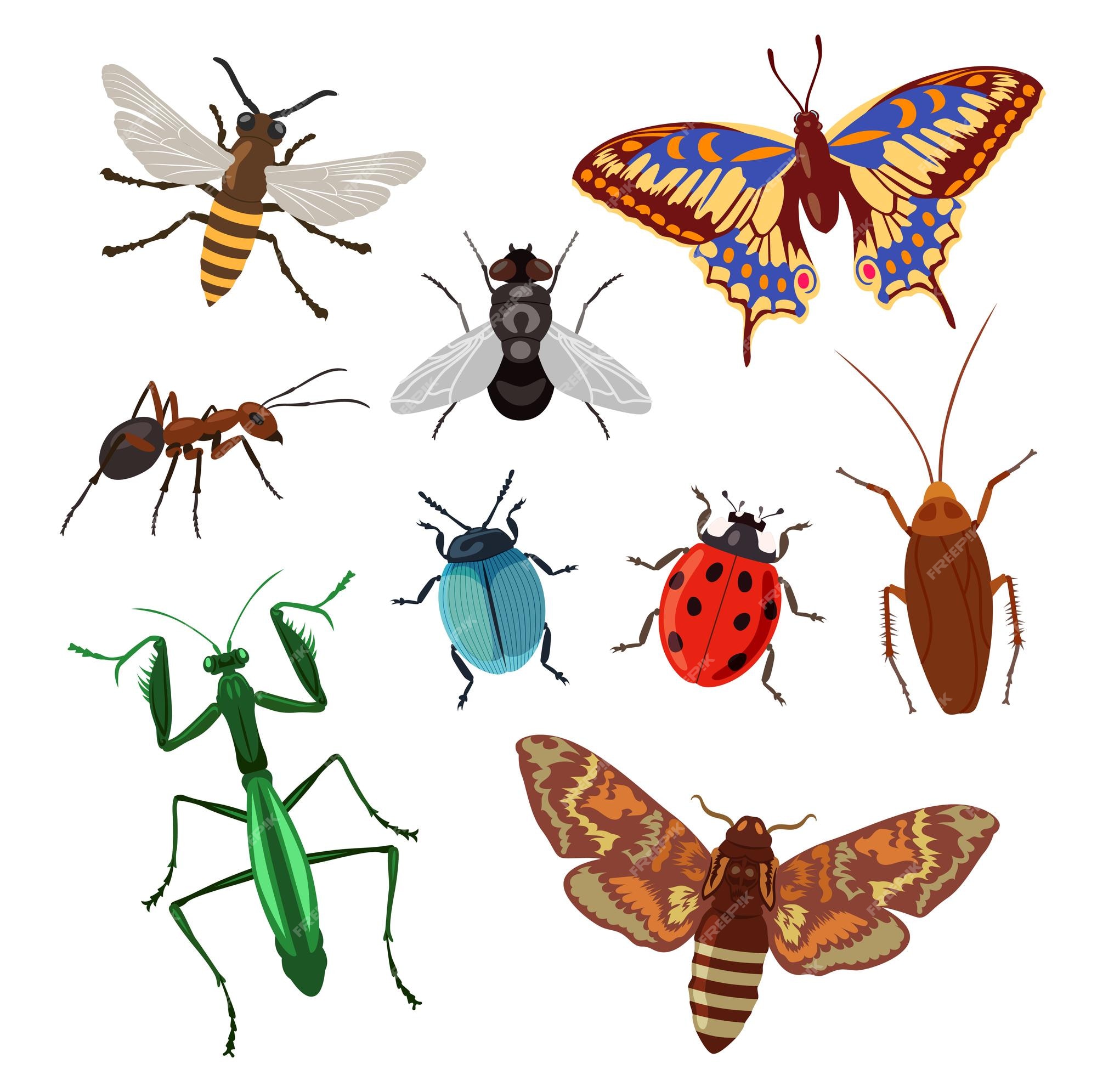 flying bug clip art