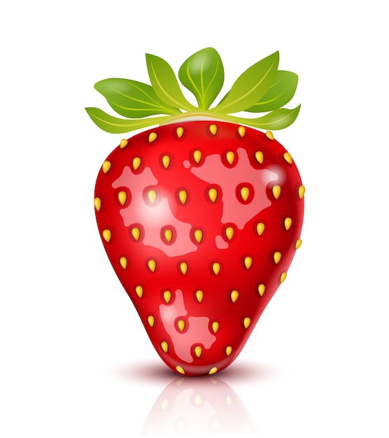 Realistic juicy Strawberry isolated