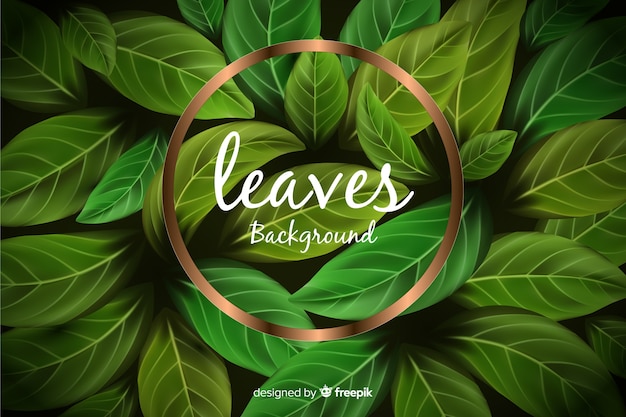 Realistic leaves with golden frame background