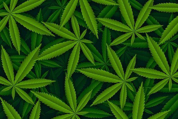 Реалистичный фон листьев марихуаны