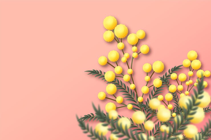 Free Vector realistic mimosa illustration