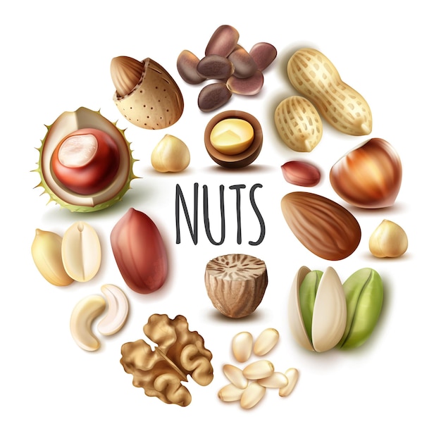 Realistic nuts round concept with nutmeg walnut almond hazelnut chestnut pistachio cashew pine pecan nuts isolated