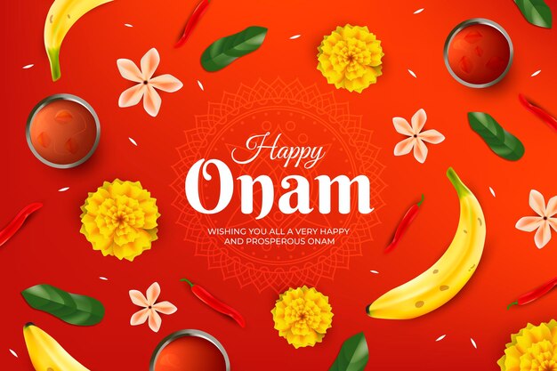 현실적인 onam 개념