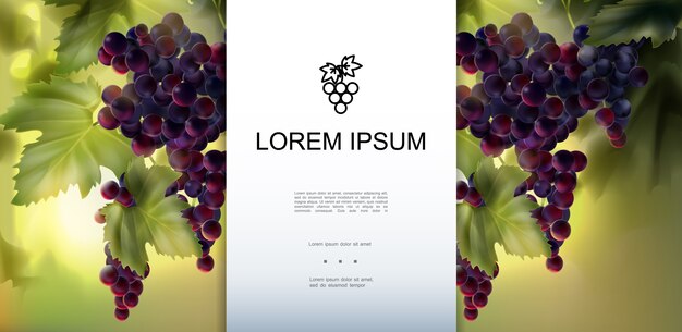 Free vector realistic organic fresh grapes template