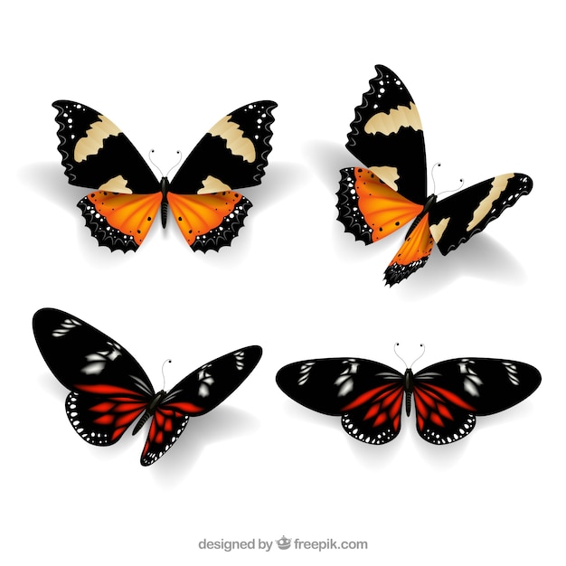 Бесплатное векторное изображение Реалистичная пакет из четырех бабочек