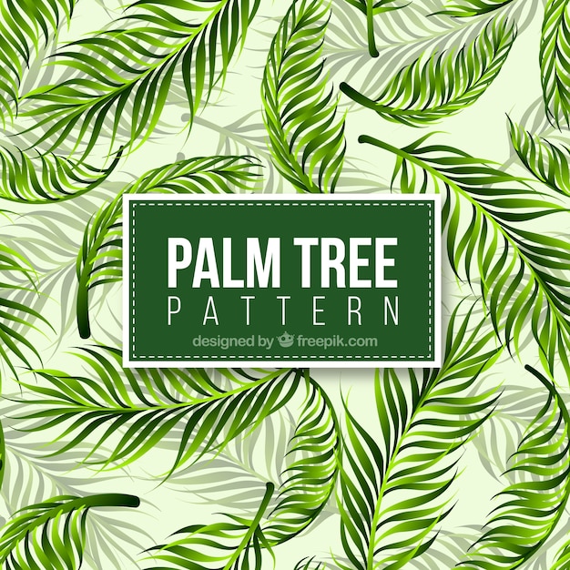 Realistic palm tree pattern