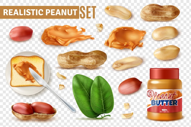 Бесплатное векторное изображение Реалистичный арахис на прозрачном наборе с изолированными бобами арахиса с оболочкой и банкой масла