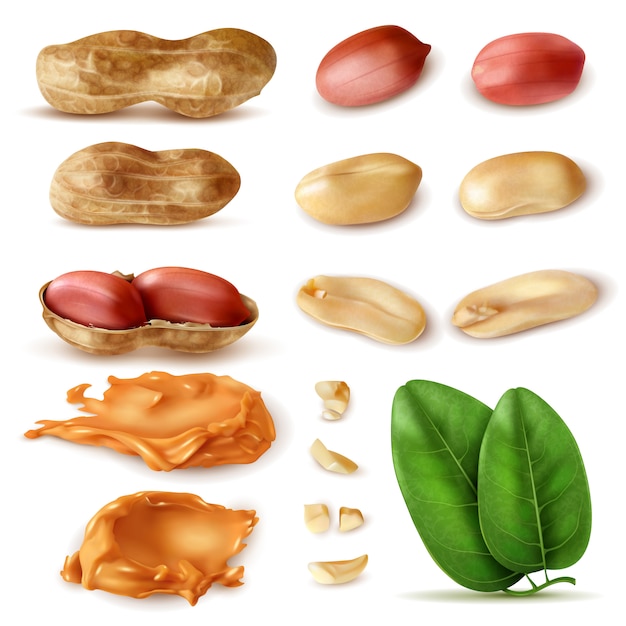 Free vector realistic peanut set of isolated images of beans in shell with green leaves and peanut butter