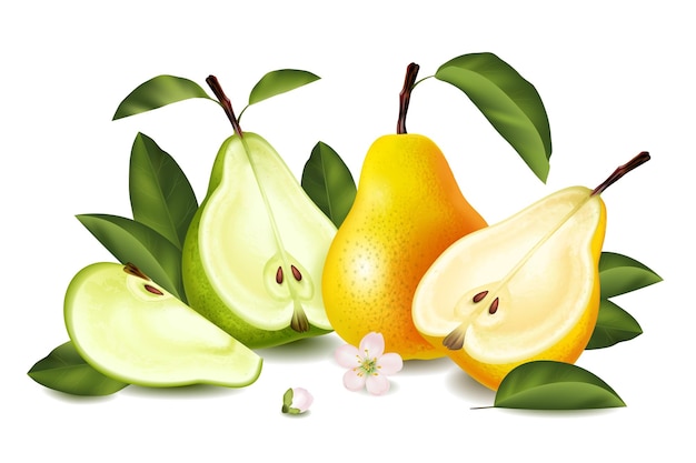 Free vector realistic pear composition fresh juicy fruit with green leaves and sliced in half and quarter vector illustration