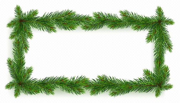 Free vector realistic rectangular pine tree frame in vector