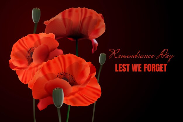 Realistic remembrance day background