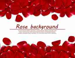 Бесплатное векторное изображение Реалистичные лепестки роз горизонтальный фон