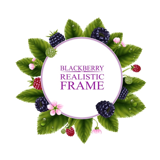 Free vector realistic round frame with fresh blackberries and water drops on green leaves vector illustration