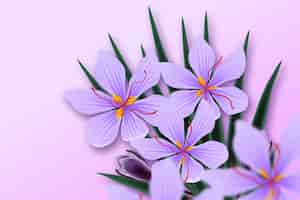 Бесплатное векторное изображение Реалистичная иллюстрация цветка шафрана