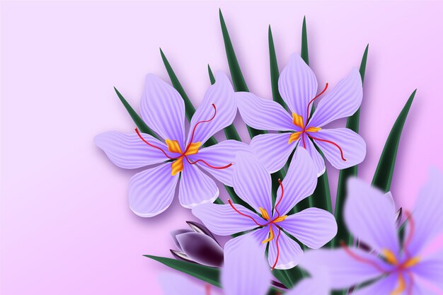 リアルなサフランの花のイラスト