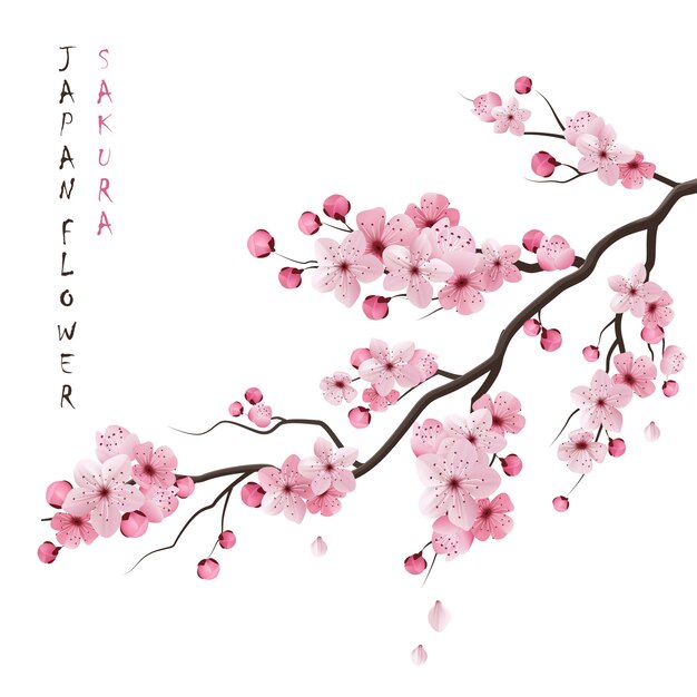 Realistic Sakura Branch