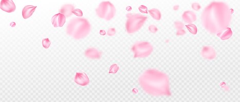 Premium Vector  Rose petals falling on pink background